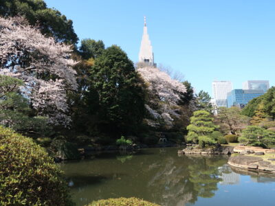 spring in shinjuku gyoen park