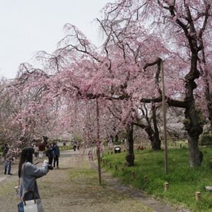 3. Joyful excursion touching nature of Tokyo's suburbs