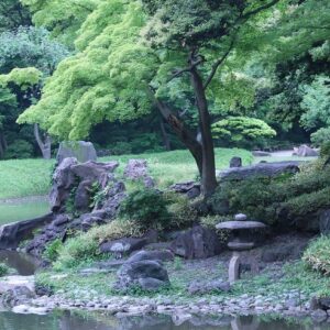 2. Representing Japanese gardens in Tokyo
