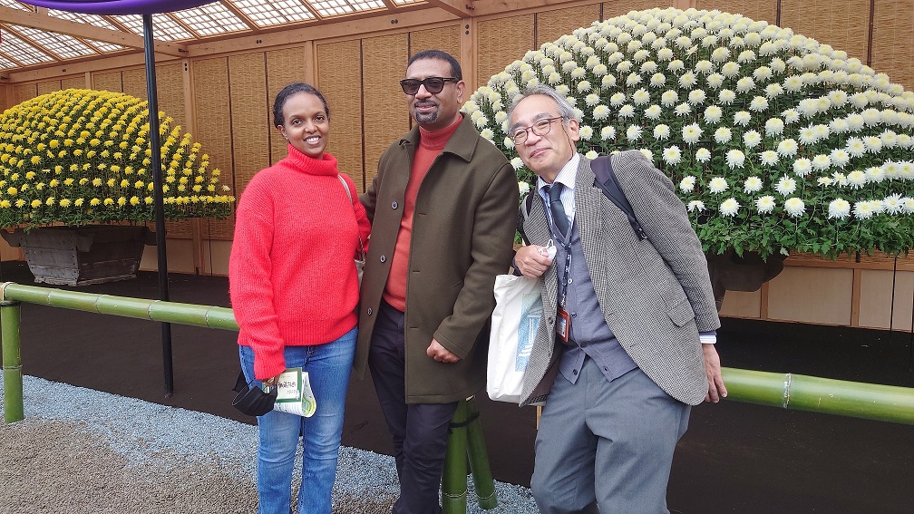 wiith guest Chrysam themum Shinjuku Gyoen garden
