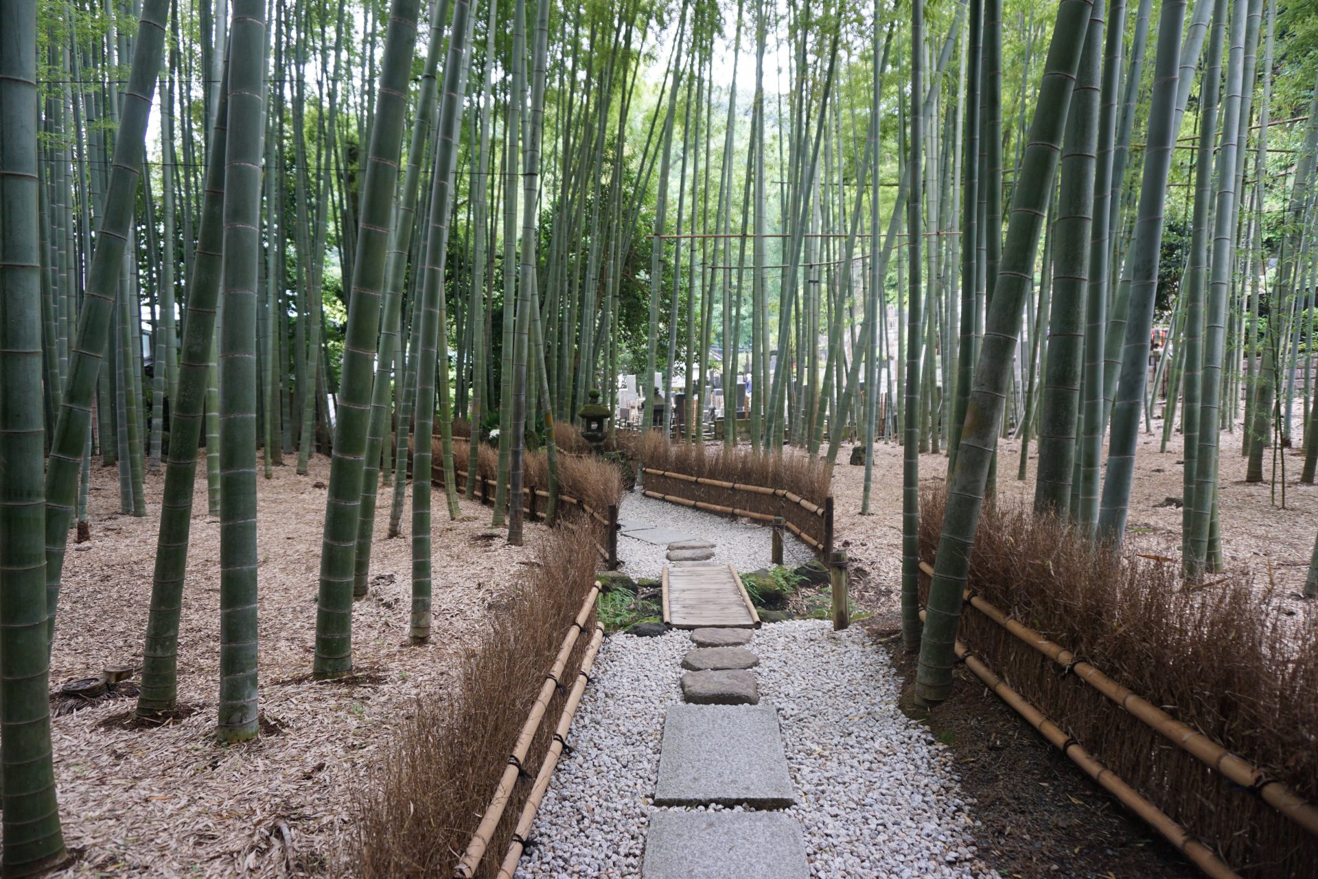 Hokokuji temple Kamakura