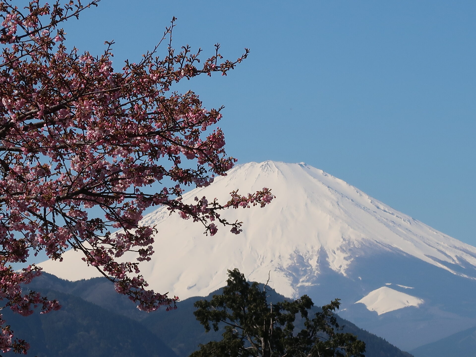 Mt. Fuji Oimatsuda