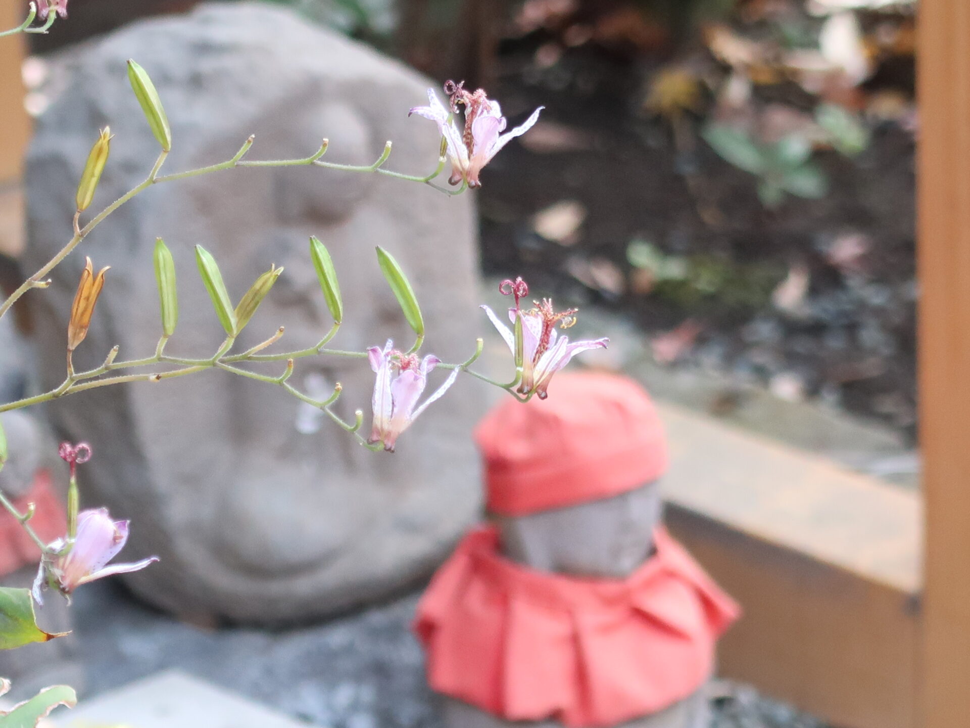 Atago　shrine